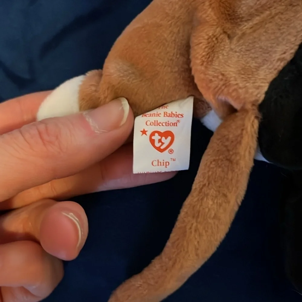 Ty Beanie Baby Chip